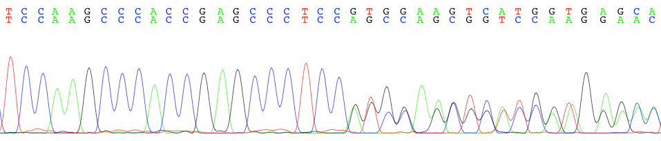 dna sequence chromatogram viewer